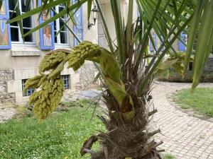 Appartements Villa de charme avec jardin clos, proche de Vichy, ideale pour sejours en famille - FR-1-489-533 : photos des chambres