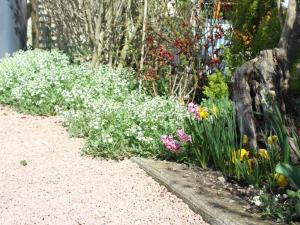 Maisons de vacances Gite renove avec cheminee, terrasse et jardin, proche de St Pourcain, ideal pour familles et animaux - FR-1-489-138 : photos des chambres