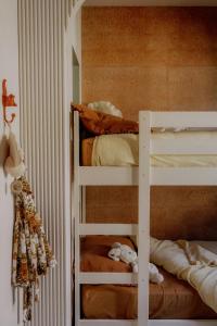 Maisons de vacances Cozy And Refined Retreat In The Heart Of Fanjeaux : photos des chambres