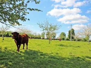 Maisons de vacances Gite renove a la ferme, 4 chambres, jardin clos, WiFi, parking, animaux, activites nature a proximite - FR-1-497-27 : photos des chambres