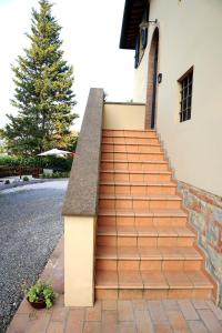 Tognazzi Casa Vacanze - Appartamento Fiammetta