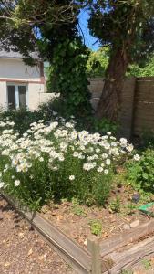 Les Hirondelles Gite 1