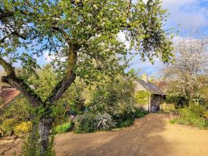 Maisons de vacances Maison Normande avec Jardin, Terrasse et WIFI Inclus - FR-1-497-220 : photos des chambres