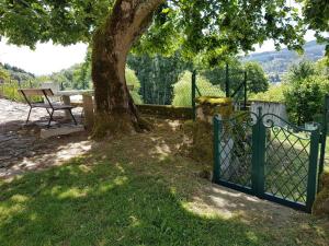 Maisons de vacances Gite nature avec jardin, animaux OK, proche activites, Wi-Fi - FR-1-489-458 : photos des chambres