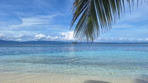Cabaña Privada en San Blas