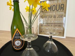 Maison de caractère près du lac de Rabodanges, idéale pour familles - FR-1-497-237