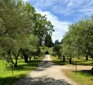 Maisons de vacances 18Th Century Provencal Mansion Near Avignon : photos des chambres
