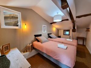 Maisons de vacances Gite spacieux 10 pers: Nature, Spa, Confort - FR-1-496-358 : photos des chambres