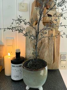 Holiday Home With Soul, Charm And Pastel Colours