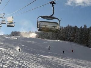 Maisons de vacances Chalet familial a 5 min des pistes de ski de Chalmazel, 3 chambres, cheminee, animaux acceptes - FR-1-496-138 : photos des chambres