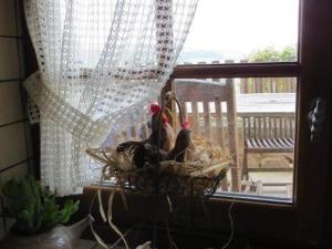 Gîte charmant avec poêle à bois, animaux acceptés - FR-1-496-137