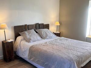 Gîte confortable avec piscine et animaux admis à Saint-André-dApchon - FR-1-496-143