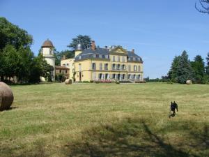 Maisons de vacances Gite de Charme avec Parc, Tennis et Salle de Jeux pres d'un Chateau a Parigny - FR-1-496-160 : photos des chambres