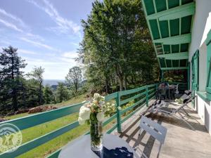 Gîte chalet autrichien avec cheminée et animaux acceptés - FR-1-496-177