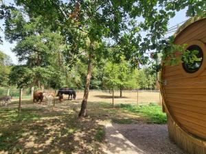 Maisons de vacances Sejour Authentique dans un Tonneau Viticole avec Piscine Chauffee et Mini-Ferme - FR-1-496-325 : photos des chambres
