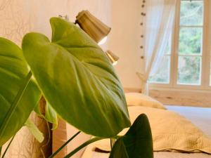 Peaceful Retreat At The Foot Of Black Mountain