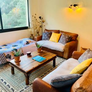 Peaceful Retreat At The Foot Of Black Mountain