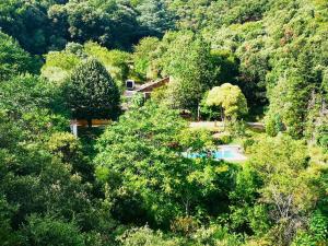 Maisons de vacances Peaceful Retreat At The Foot Of Black Mountain : photos des chambres
