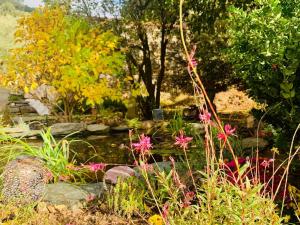 Maisons de vacances Peaceful Retreat At The Foot Of Black Mountain : photos des chambres