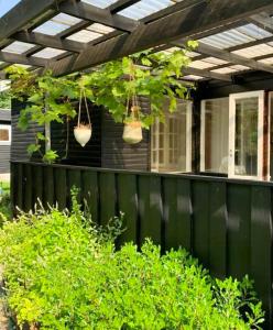 Extend The Snug Summer Evenings In The Orangery