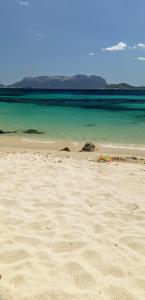 Home on Sardinia beach img8