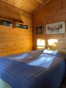 Wooden House With Nature Views Near Silkeborg