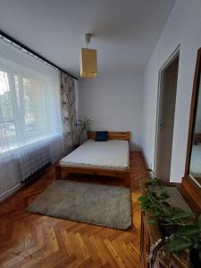 Grzegórzki family apartment