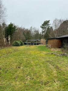 Authentecity Between Forest And Beach In Odsherred