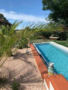 Maisons de vacances Restored Farmhouse Near Toulouse With Pool : photos des chambres