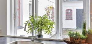 Renovated Farmhouse By The Beach On Møn