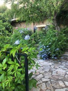 Maisons de vacances Historic Villa In Sant Antonino With Sea Views : photos des chambres
