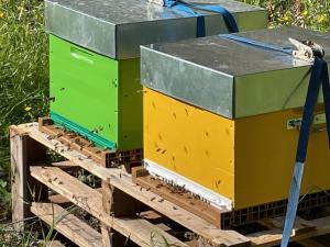 Appartements Le Mas de Cocody : photos des chambres