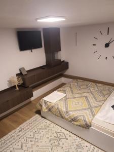 Cozy studio - Zona AEM Timișoara