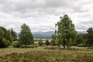 Glencarnie - Seasgair Lodges