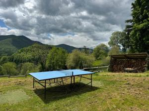 Maisons de vacances Renovated Barn With Pyrenees Mountain Views : photos des chambres