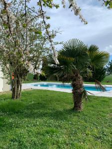 Maisons de vacances Panoramic Views Of The Pyrenees In Lauragais : photos des chambres