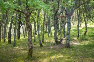 Appartements Le Mas de Cocody : photos des chambres