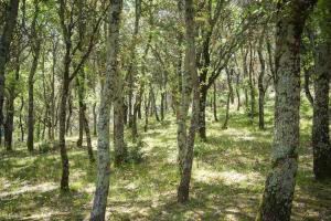 Appartements Le Mas de Cocody : photos des chambres