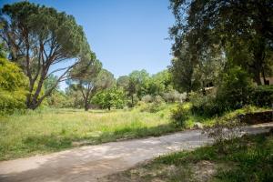 Appartements Le Mas de Cocody : Studio