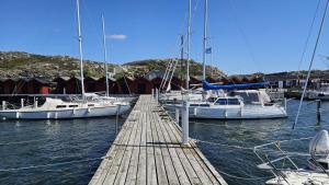 Cottage near sea, art & fishing villages on Tjörn SE09143
