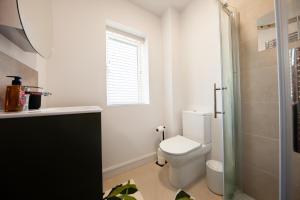 Modern 2 bed house in Hollystown with free parking