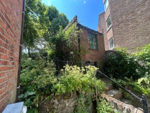 Spacious 1-Bed Flat with Garden near Finsbury Park