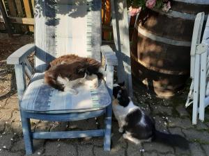 Brunnsteffl - Ferienhaus Lindner