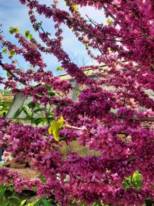 Brunnsteffl - Ferienhaus Lindner