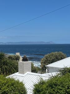 Apartment Dolphin House