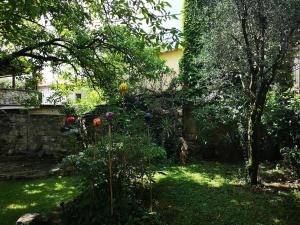 Karst house Mediteranean Slovenia 