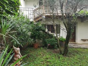 Karst house Mediteranean Slovenia 