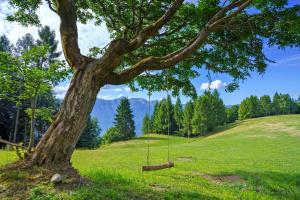 Luxury Chalet Giulia