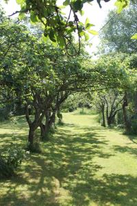 Maisons de vacances La Chabossiere : photos des chambres