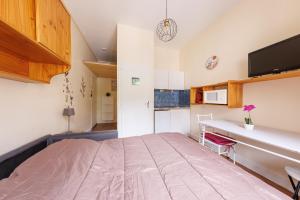 Appartements Les Fleurs - Proche Du Mont-Dore : photos des chambres